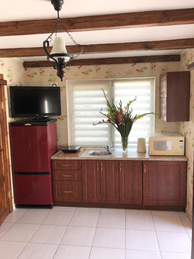 Apartments With Kitchen And Garden Kiev Bagian luar foto