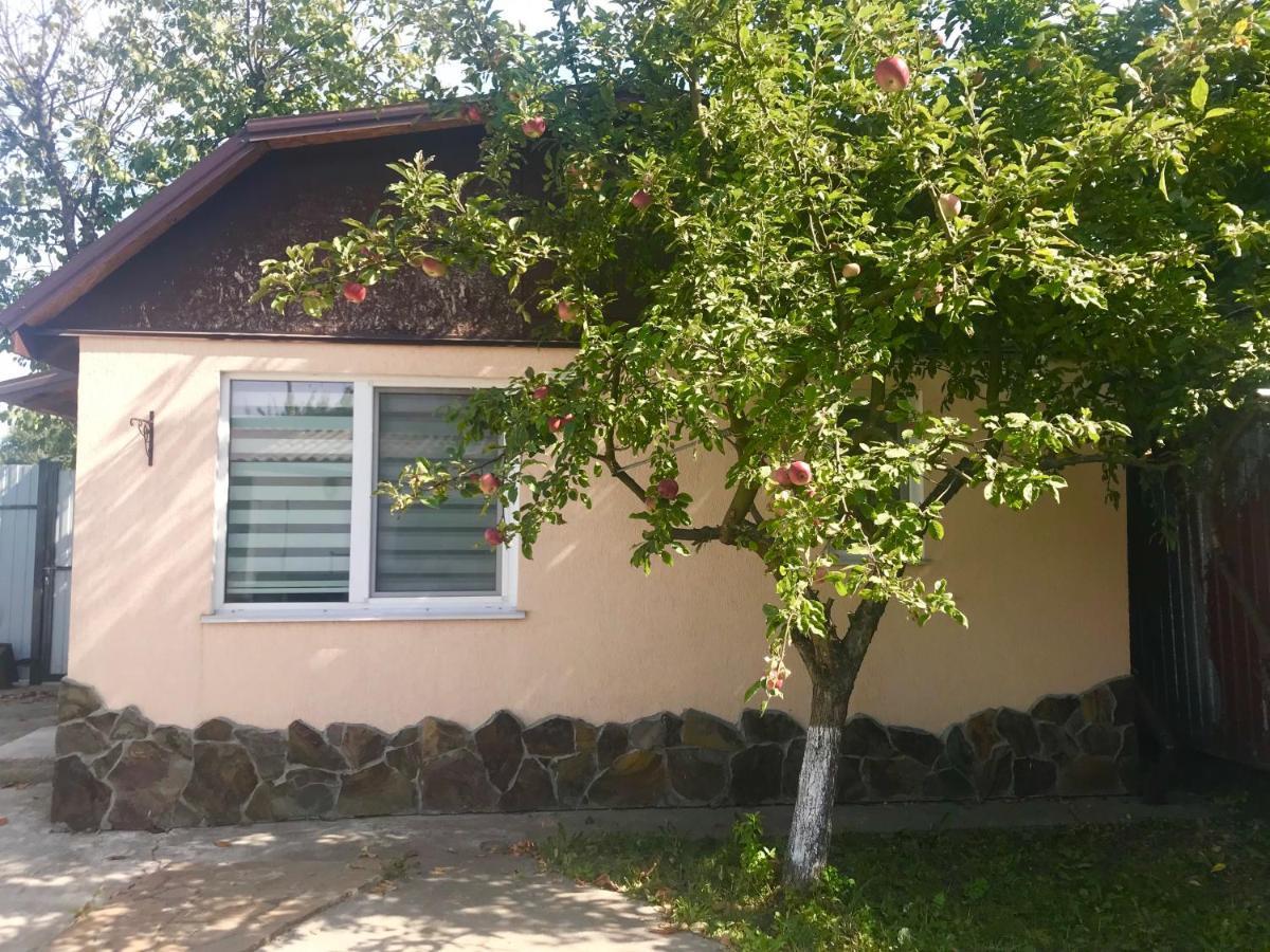 Apartments With Kitchen And Garden Kiev Bagian luar foto